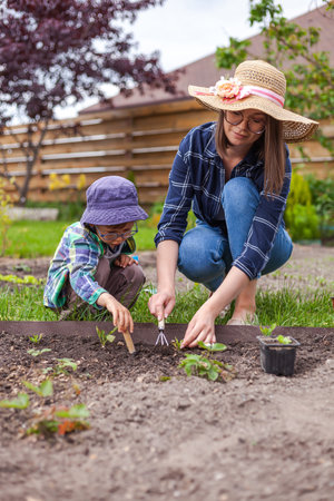 Child and mother gardening in vegetable garden in backyardの写真素材