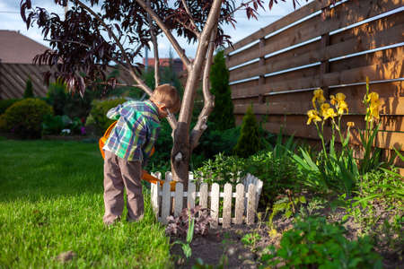 Child watering can watering a tree in the backyardの写真素材