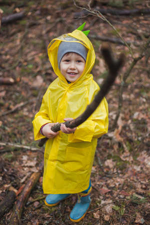 Child in a yellow raincoat walking in the forest after rain and holding a wooden stick in hands, look at cameraの写真素材