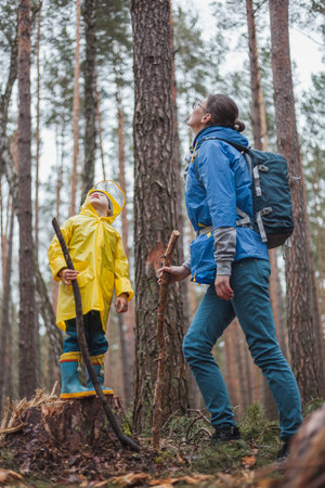 Mom and child walking in the forest after the rain in raincoats together, looking at the sky