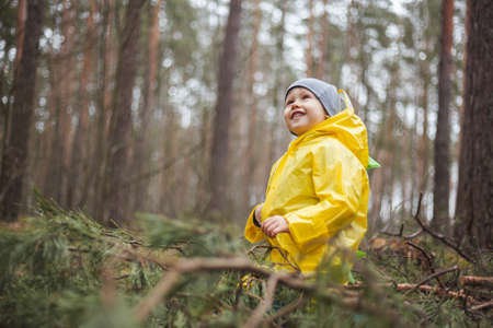 Child in the yellow raincoat walks in the forest after rain and funの写真素材