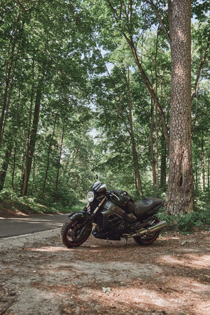Black road bike on the roadside of a forest road, no people