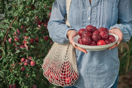Unrecognizable female gardener holding a plate of plums and a string eco mesh bag in her family...
