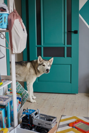 Pet Dog entering the childrens room through the open door, violates the ban on entering the room