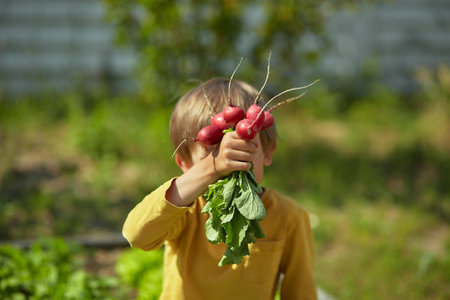 Happy Child in the backyard radish garden.の写真素材