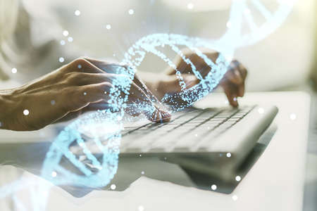 Double exposure of creative DNA hologram and hands typing on laptop on background. Bio Engineering and DNA Research conceptの写真素材