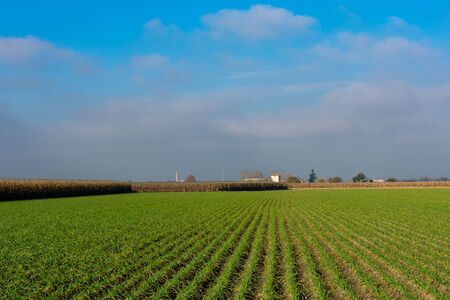 Crop fields with country house in the backgroundの写真素材