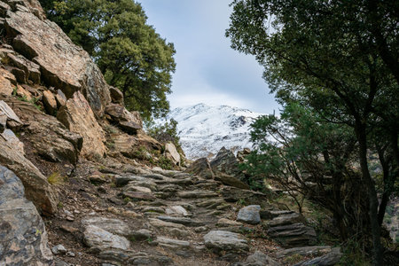 Snowy landscapes of the southern slope of Sierra Nevada, Spain.