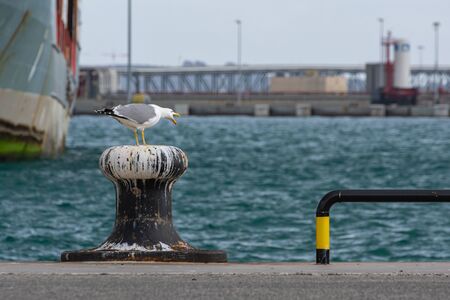Bollard for mooring ships stained by seagull droppingsの写真素材