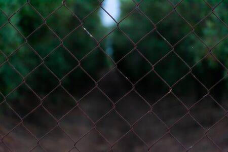 Close-up protection fence to safeguard an agricultural areaの写真素材
