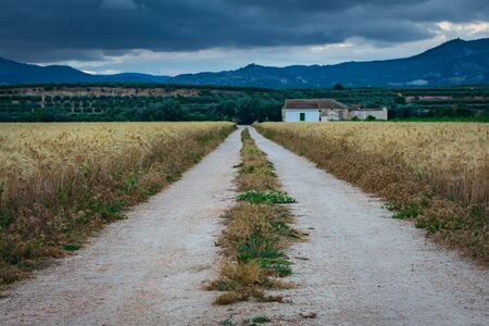 Rural road leading to a small country houseの写真素材