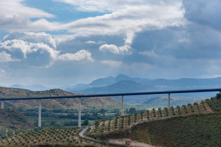 Very long motorway bridge crossing agricultural fields and olive groves.の写真素材