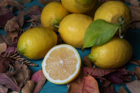 Lemons and dried leaves on a light blue wooden table.
