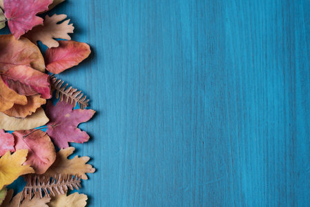 Light blue wooden background with dry autumn leaves on one side. Copy space.の写真素材