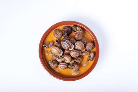 Snail stew, dish based on a sauce of vegetables and cooked snails.の写真素材