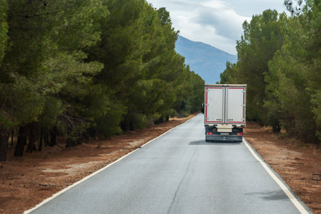 Small truck with closed box driving on a narrow road through a pine forest. Landscape.の写真素材