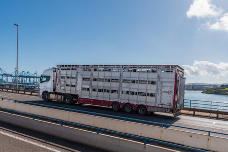 Cage truck for transporting cattle entering the port of Algeciras.の写真素材