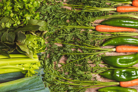 Background with dominant green stems of carrots, peppers, leeks, celery, lettuce, bay leaf and parsley.の写真素材