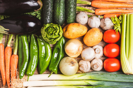 Background created with vegetables,cucumbers,eggplants,potatoes,peppers,garlic,mushrooms,lettuce,carrots,leek,celery and cucumber.の写真素材