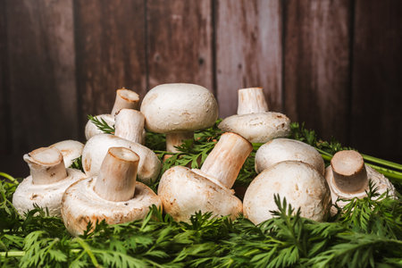 Mushroom still life on green leaves and wooden background.の写真素材
