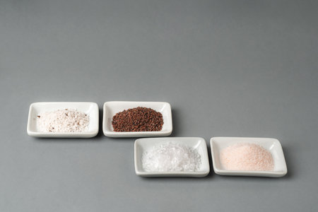 Small bowls with different types of salt, black, pink, flake and seasoned with truffle.の写真素材