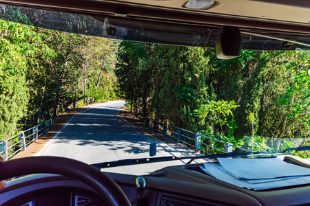 View from inside a truck of a narrow tree-lined.の写真素材