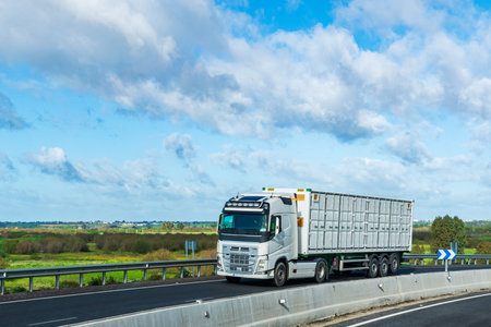 Truck with open-sided container traveling on the road, container for maritime transport with doors on its sides.の写真素材