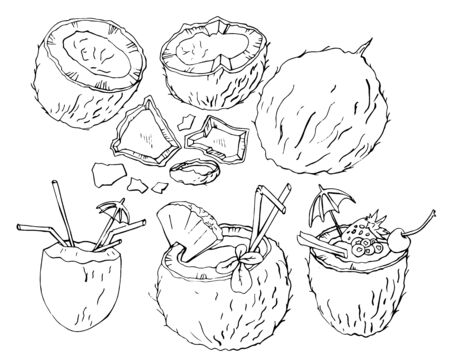 coconut drawing. tropical cocktail menu. set the pieces of coconut, halfのイラスト素材