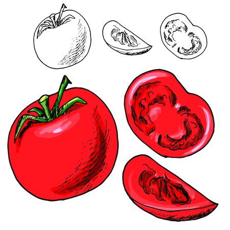 tomato whole, slice, isolated on white background. healthy food, vegetarianismのイラスト素材