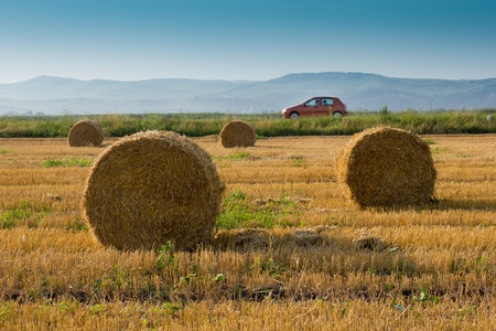 circular straw bales