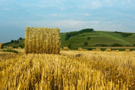 circular straw bales