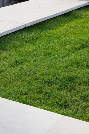 green grass viewの写真素材