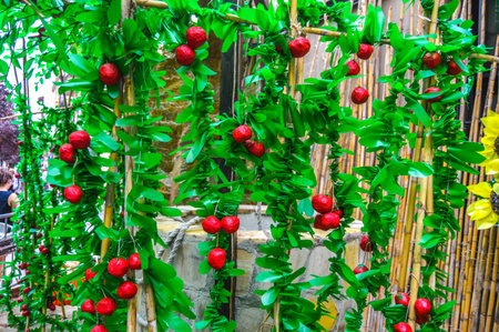 Red ripe pomegranate with green leaves hanging on the wall.