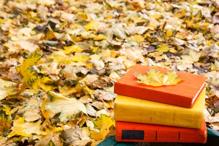 Stack of hardback book and Open book lying on a bench at sunset park on blurred nature backdrop. Copy space, back to school. Education backgroundの写真素材