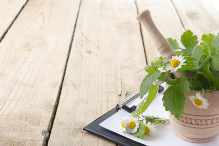 Fresh herb and medical clipboard on wooden table. Alternative medicine conceptの写真素材