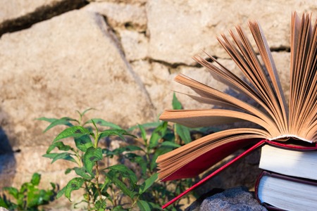 Stack of books and Open hardback book on blurred nature landscape backdrop. Copy space, back to school. Education backgroundの写真素材
