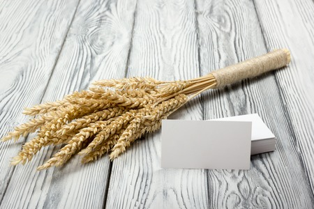 Wheat Ears on Wooden Table with blank business cards. Sheaf of Wheat over Wood Background. Harvest conceptの写真素材