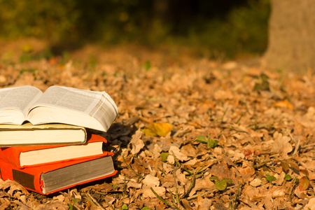 Stack of book and Open hardback book on blurred nature landscape backdrop. Copy space, back to school. Education background.の写真素材