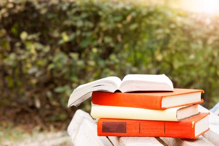 Stack of book and Open hardback book on blurred nature landscape backdrop. Copy space, back to school. Education background.の写真素材