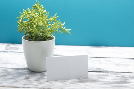 Business cards blank. Mockup on color background. Flat Lay. copy space for textの写真素材