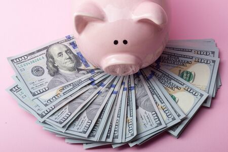 Piggy bank and dollar cash money. Business, finance, investment, saving and corruption concept.の写真素材