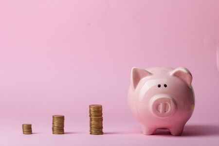 Piggy bank and dollar cash money. Business, finance, investment, saving and corruption concept.の写真素材