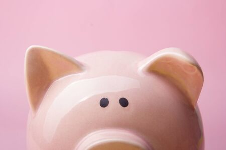 Piggy bank and dollar cash money. Business, finance, investment, saving and corruption concept.の写真素材