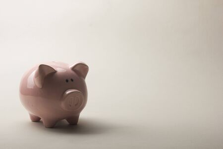 Piggy bank and dollar cash money. Business, finance, investment, saving and corruption concept.の写真素材