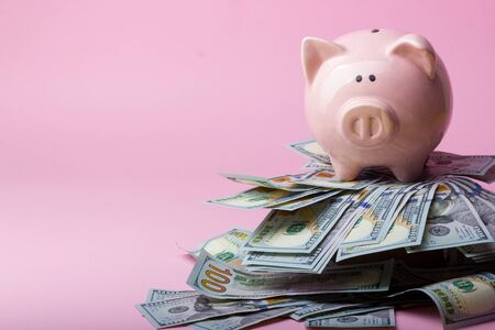 Piggy bank and dollar cash money. Business, finance, investment, saving and corruption concept.の写真素材