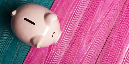 Piggy bank and golden coin. Savings and finance conceptの写真素材