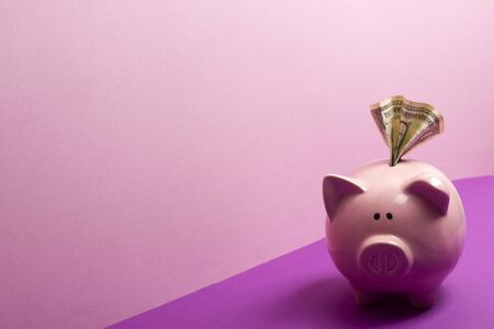 Piggy bank and golden coin. Savings and finance conceptの写真素材