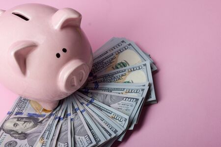 Piggy bank and dollar cash money. Business, finance, investment, saving and corruption concept.の写真素材