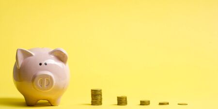 Piggy bank and golden coin. Savings and finance conceptの写真素材