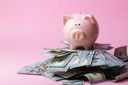 Piggy bank and golden coin. Savings and finance conceptの写真素材
